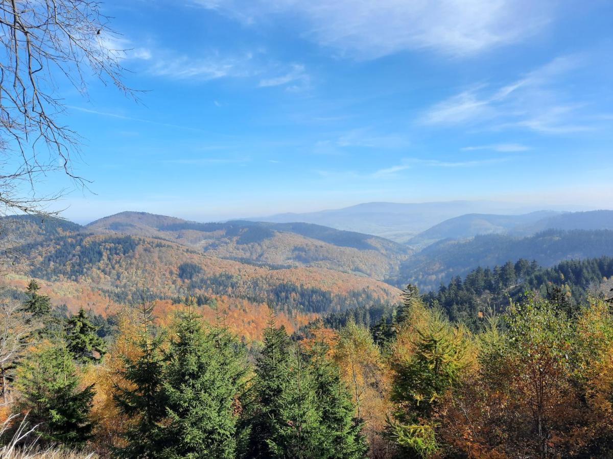 Domek Ostoja Lomnica  Exteriér fotografie