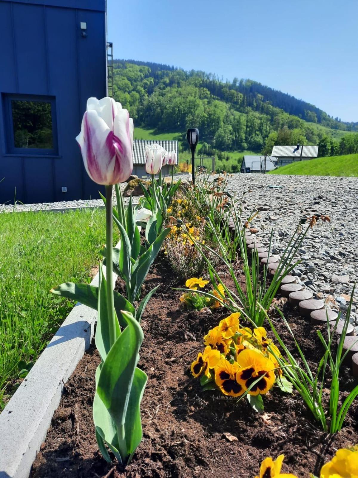 Domek Ostoja Lomnica  Exteriér fotografie