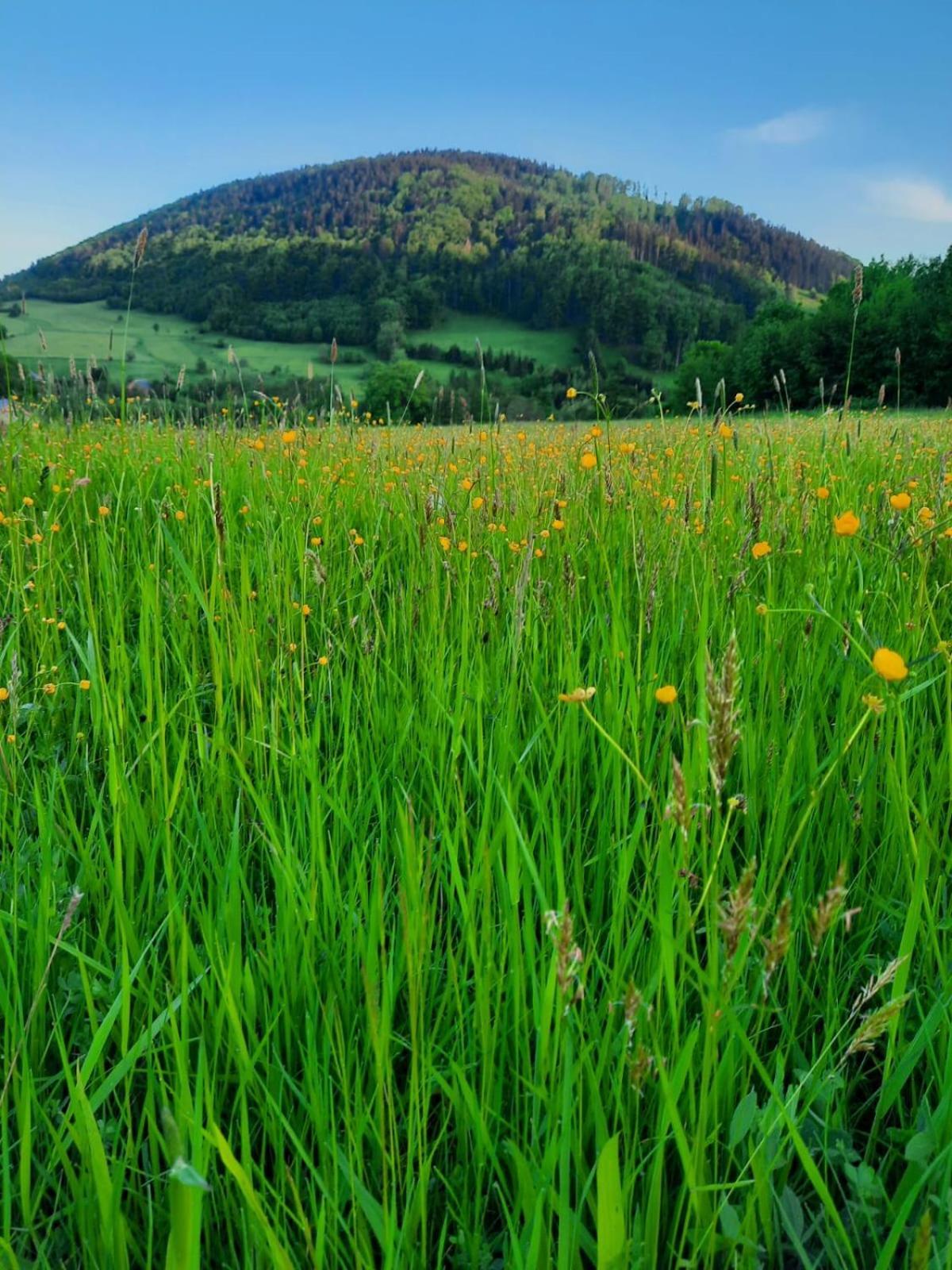 Domek Ostoja Lomnica  Exteriér fotografie