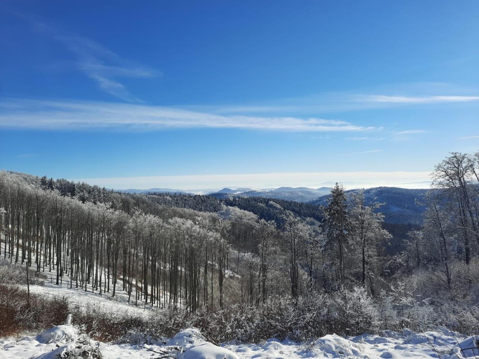 Domek Ostoja Lomnica  Exteriér fotografie