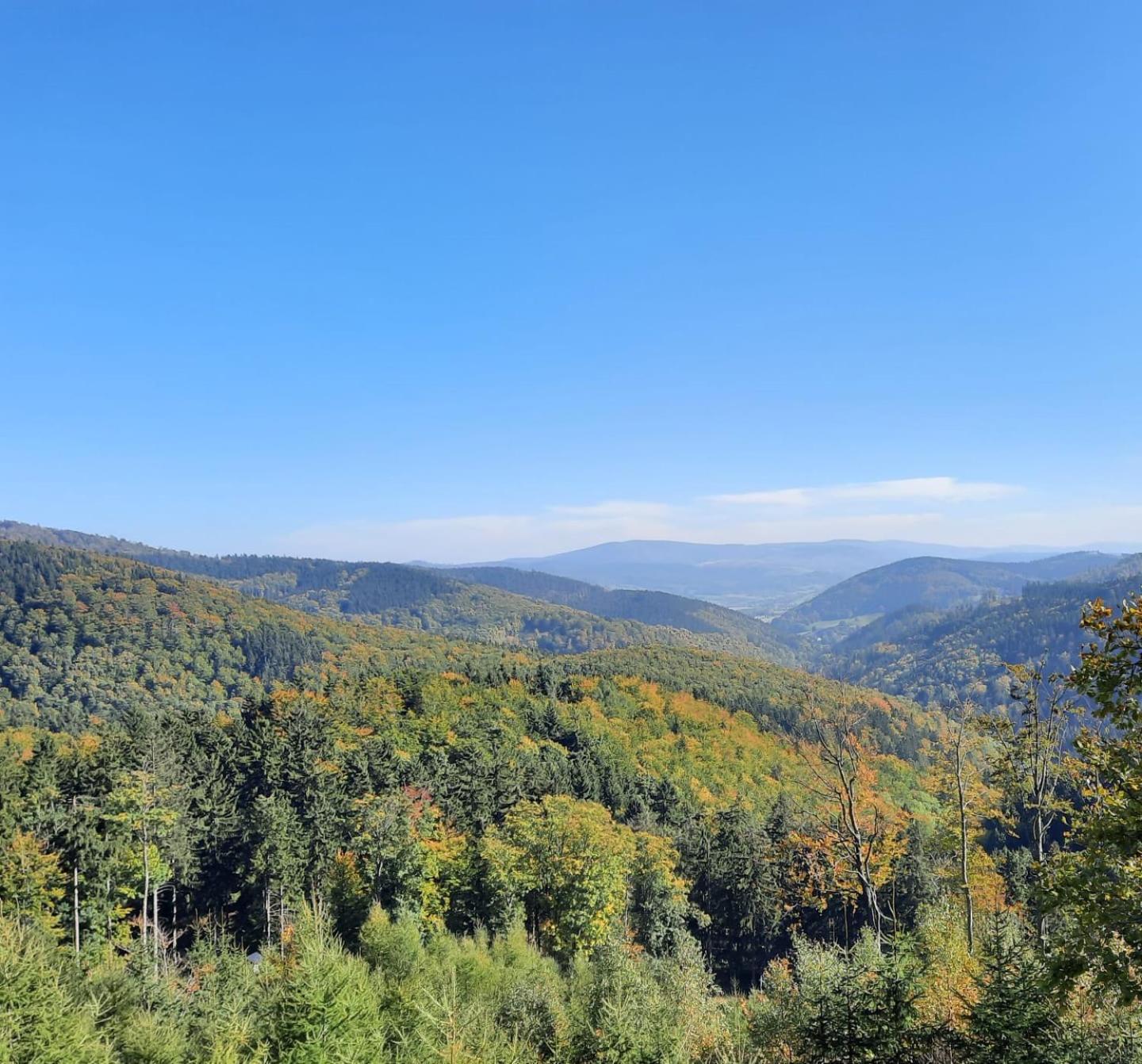 Domek Ostoja Lomnica  Exteriér fotografie