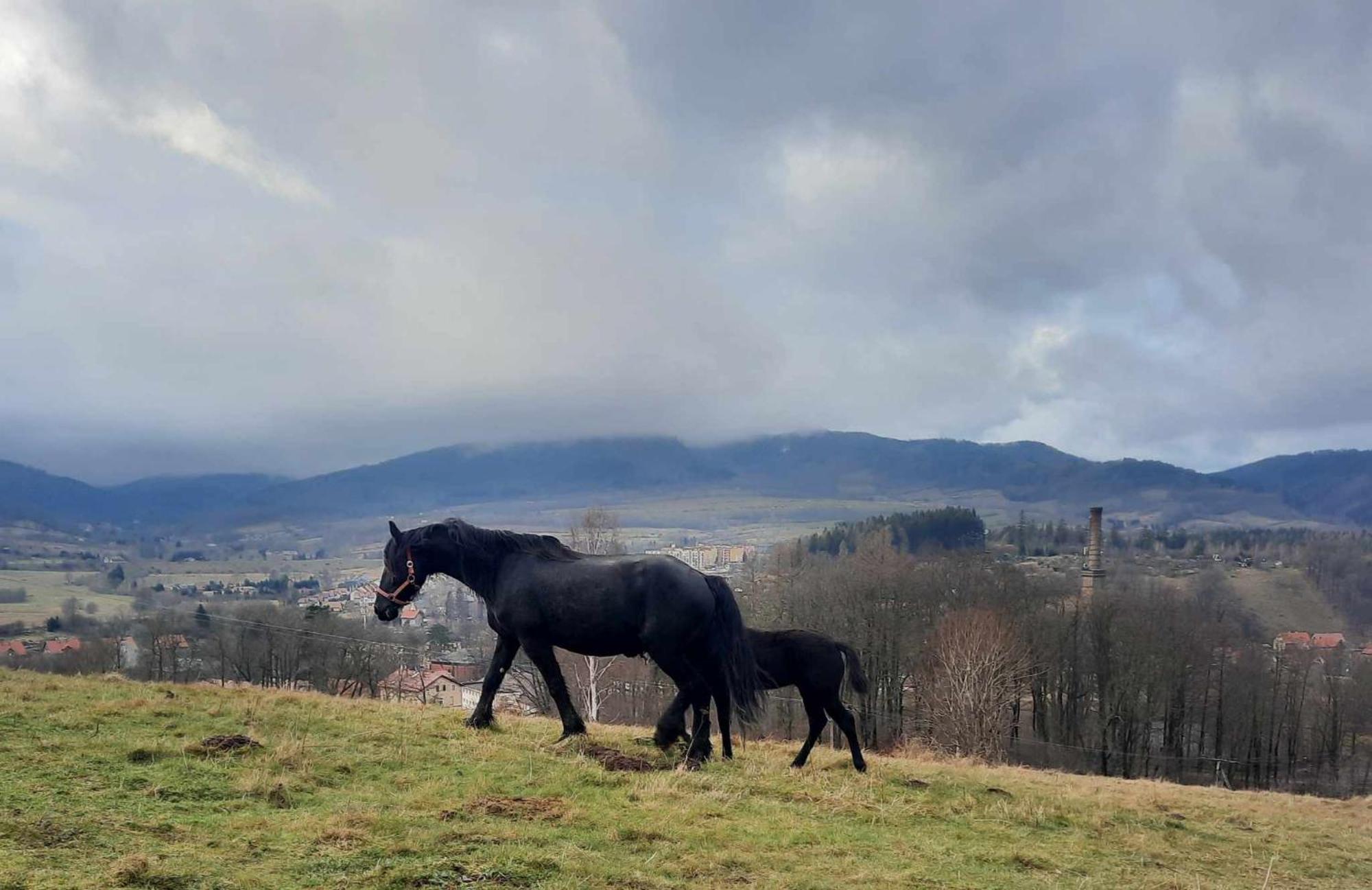 Domek Ostoja Lomnica  Exteriér fotografie