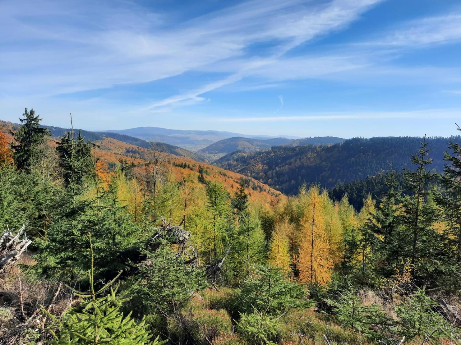 Domek Ostoja Lomnica  Exteriér fotografie