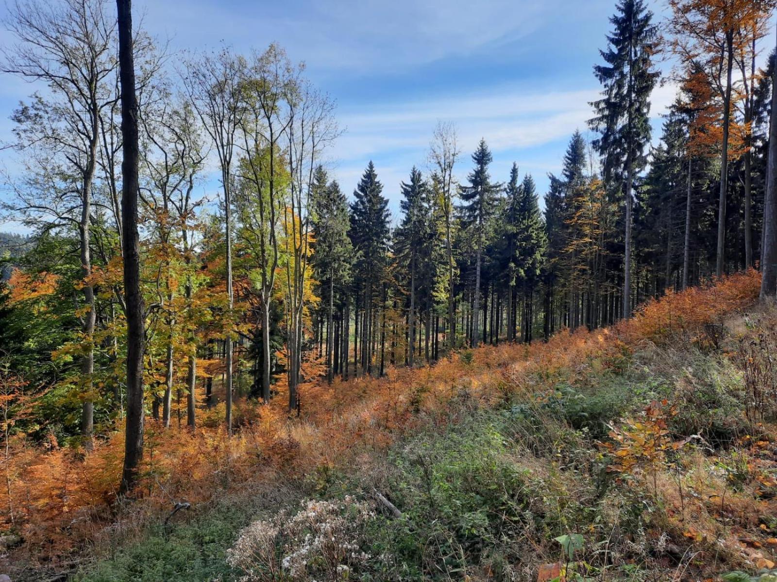 Domek Ostoja Lomnica  Exteriér fotografie